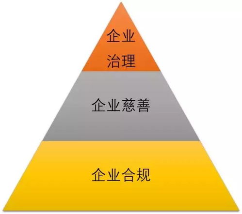 社會問題驅(qū)動商業(yè)創(chuàng)新 MSC咨詢創(chuàng)始人兼CEO譚亞幸的社會經(jīng)濟咨詢服務探索