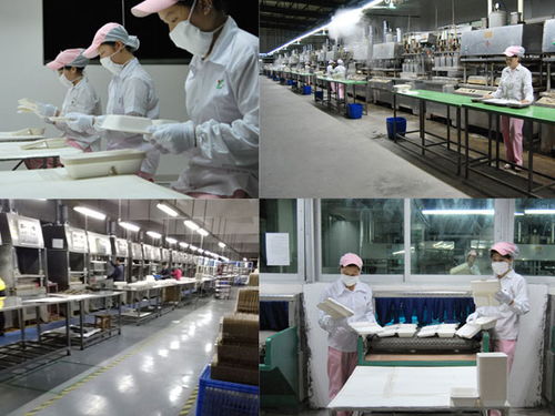 水果紙托定做 綠優(yōu)紙制品在廣州市場的優(yōu)勢與服務